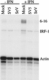 FIG. 10