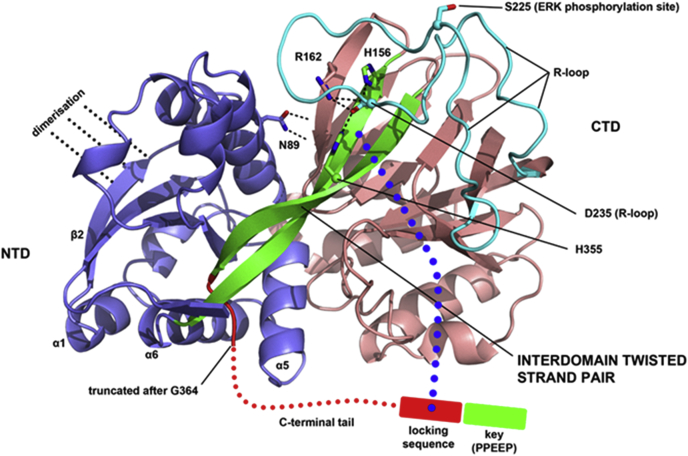 Figure 12