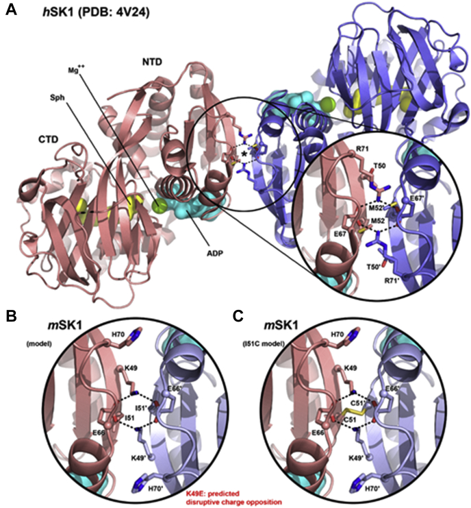 Figure 6