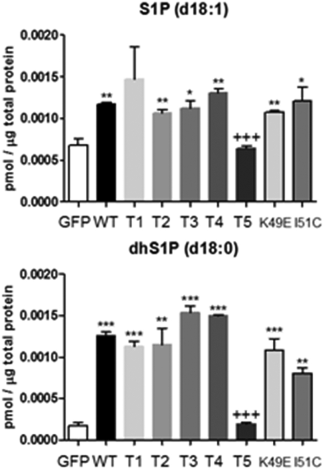 Figure 11