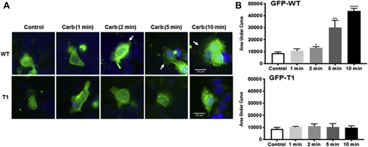 Figure 10