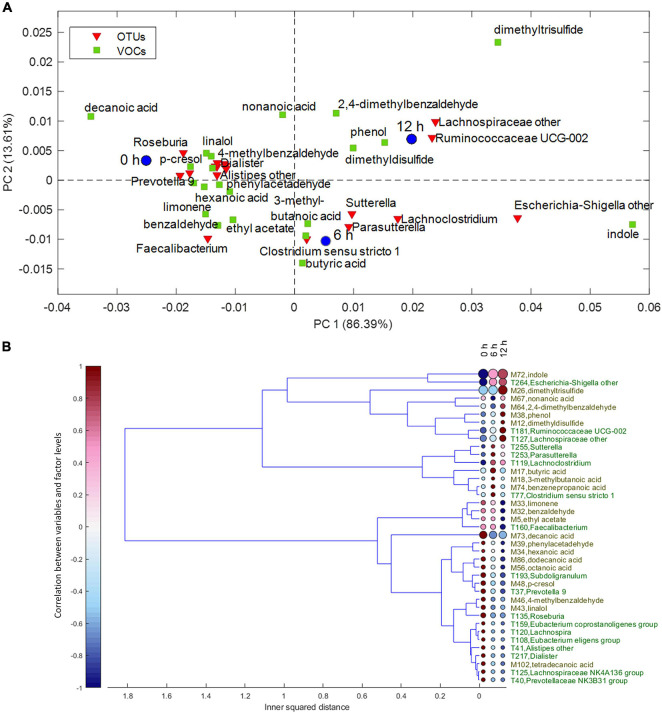 Multivariate Analysis In Microbiome Description: Correlation Of Human 