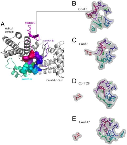 Fig. 3.