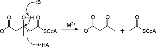 SCHEME 1.