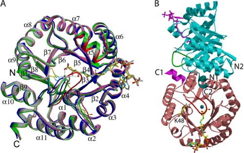 FIGURE 2.