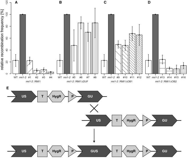 Figure 4.