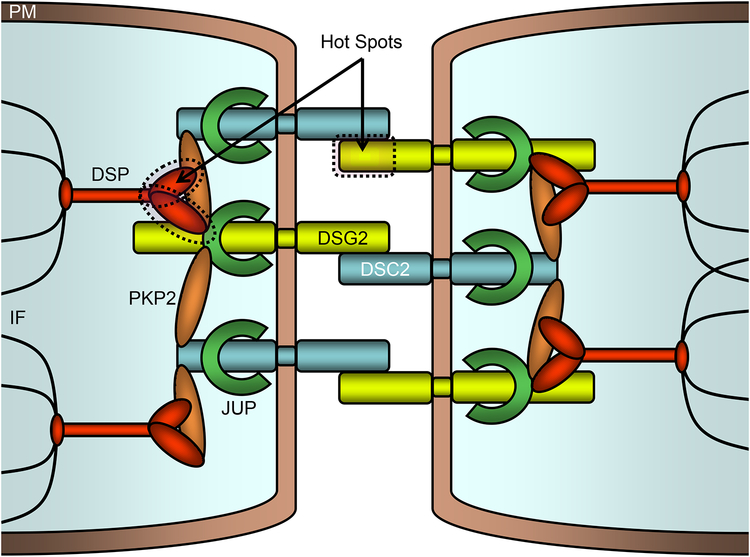 Figure 7 –