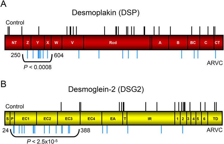 Figure 6 –