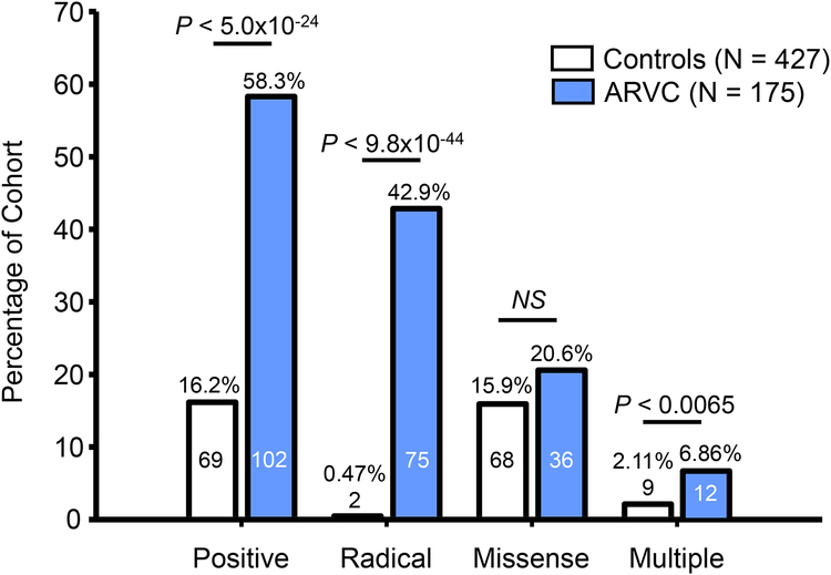 Figure 2 –