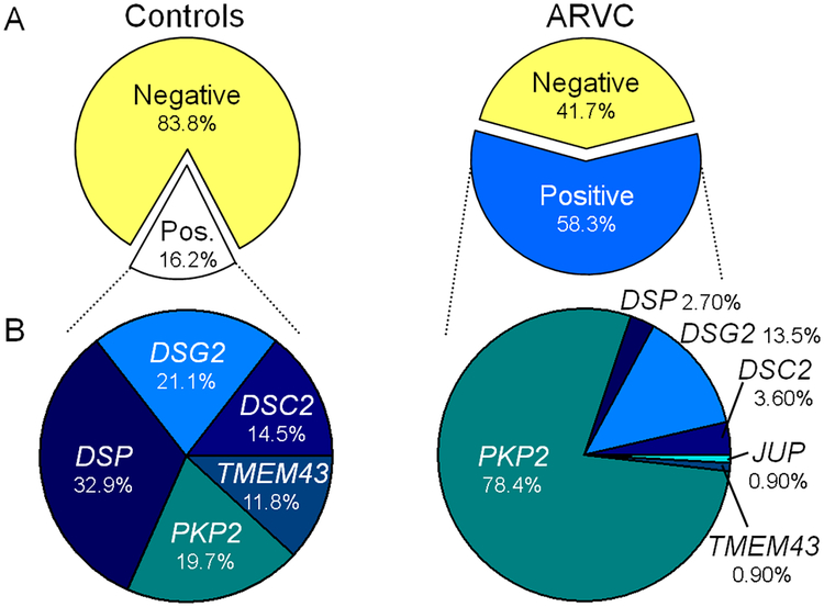 Figure 1 –