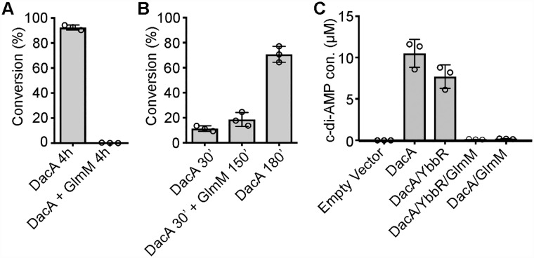 Fig 5