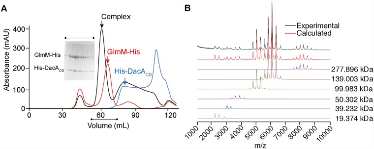 Fig 4