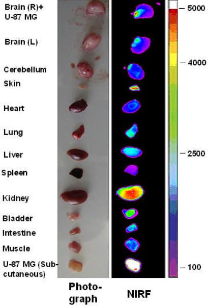 Figure 5a