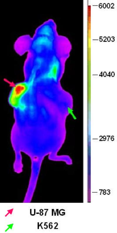 Figure 3b