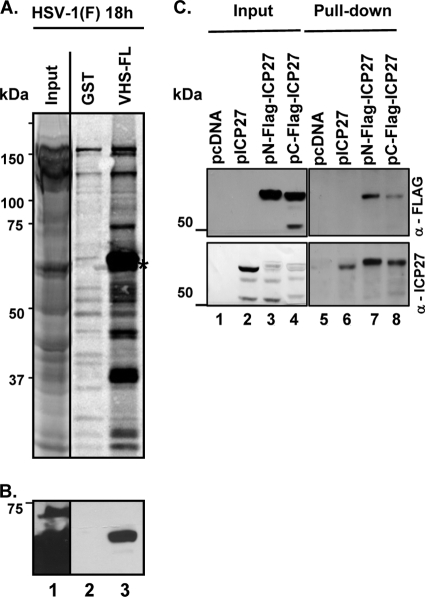 FIG. 7.