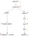 Fig. 8