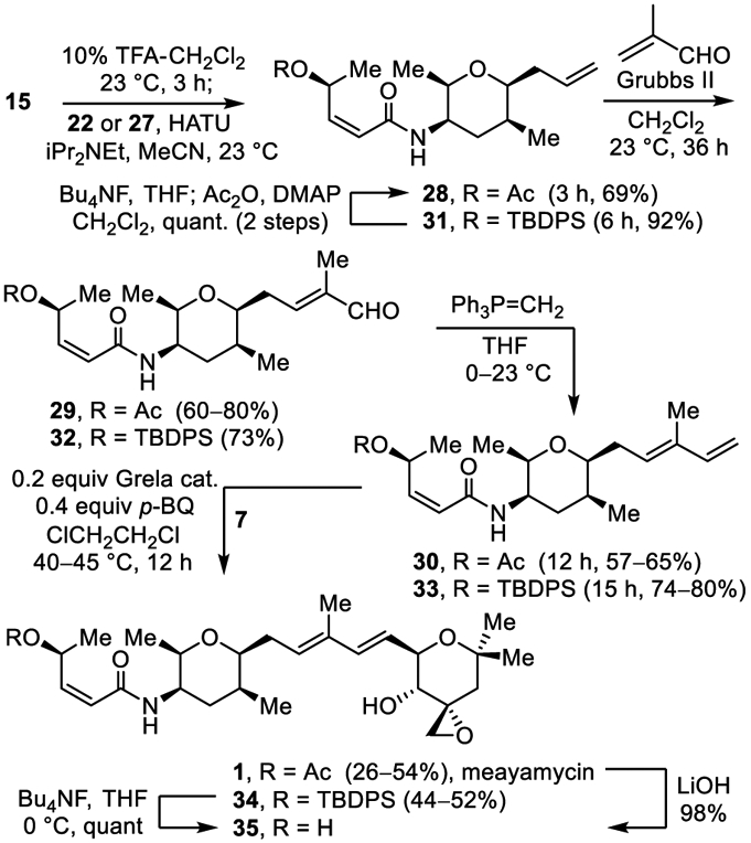 Scheme 4