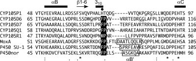 FIG. 5.