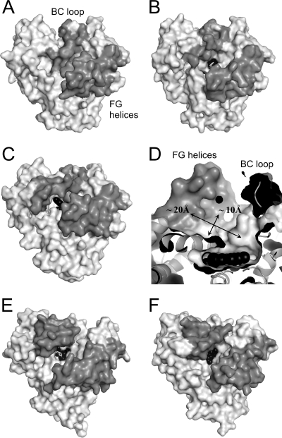 FIG. 8.