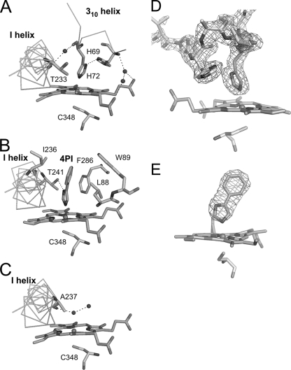 FIG. 4.