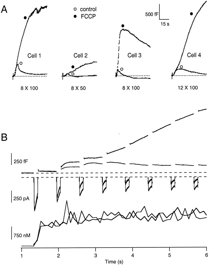 Fig. 2.