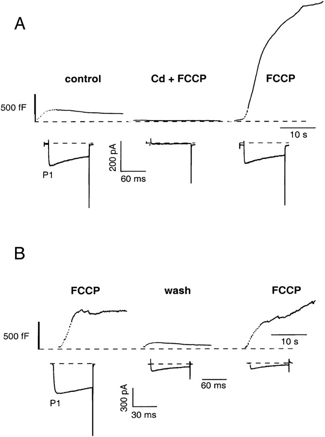 Fig. 4.