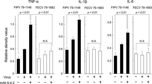 Fig. 4