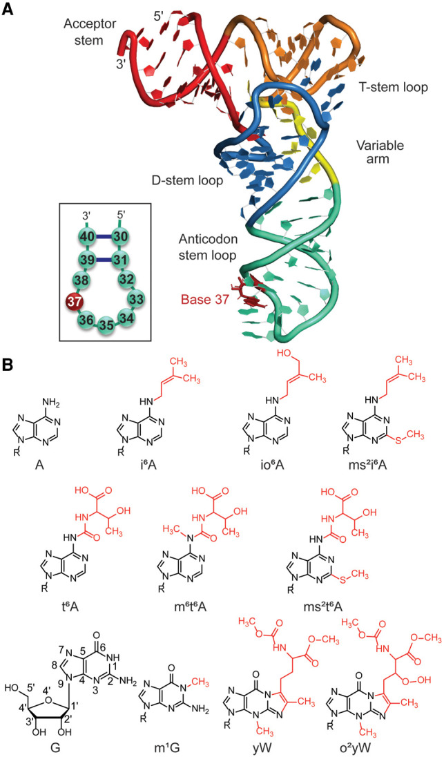 FIGURE 1.