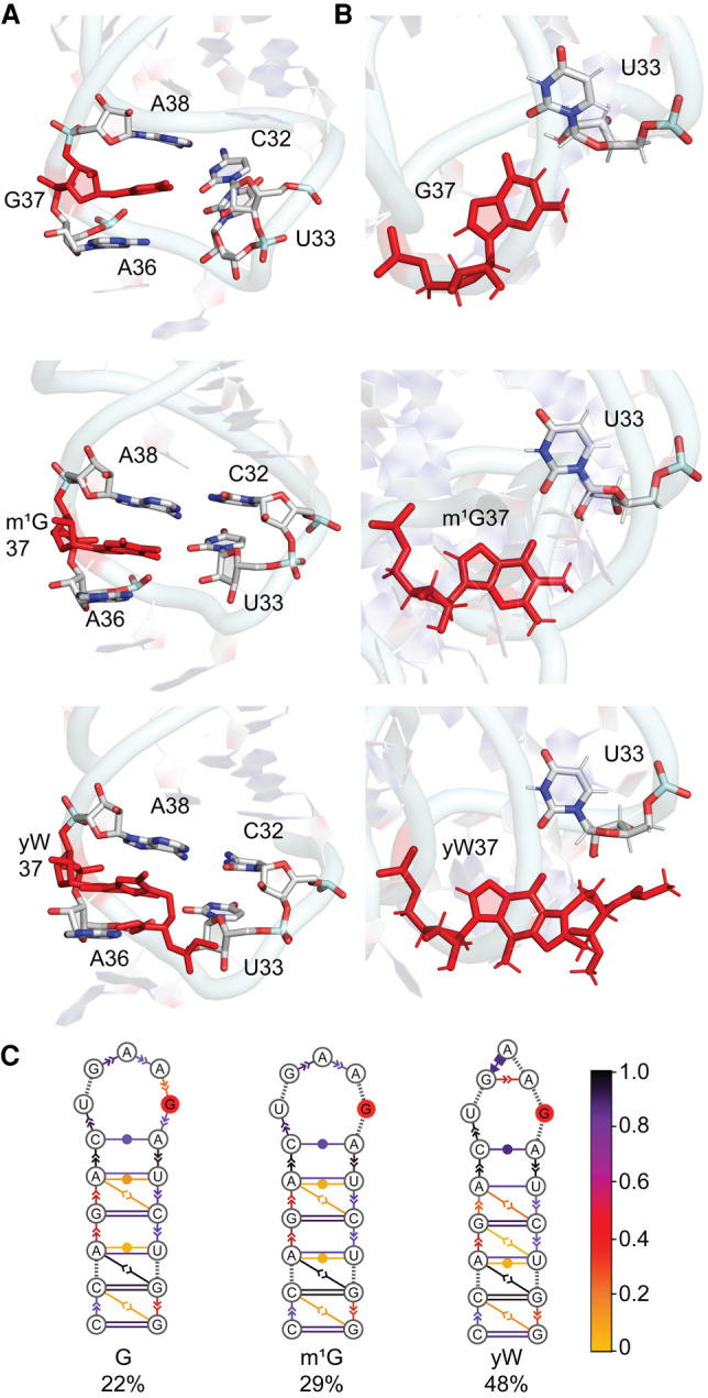 FIGURE 10.