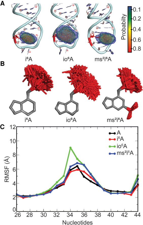 FIGURE 4.