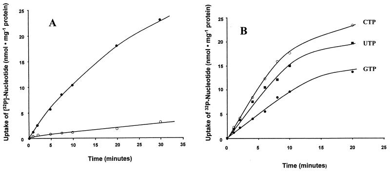 FIG. 5