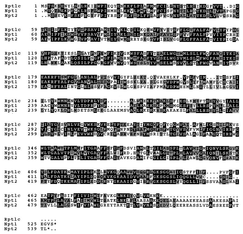 FIG. 1