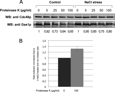 Fig. 8.