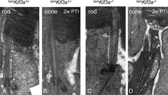 FIGURE 10.