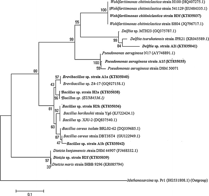 Fig. 3