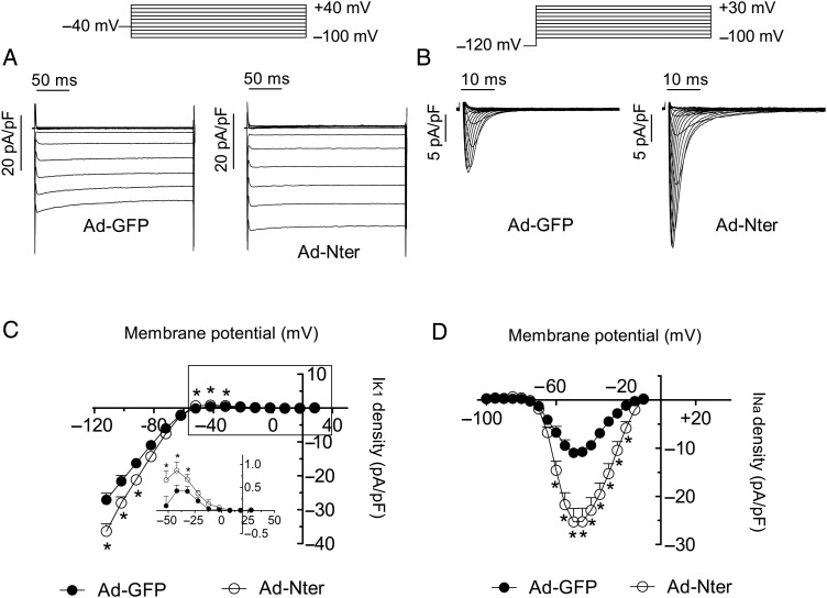 Figure 7