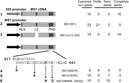 Figure 5.