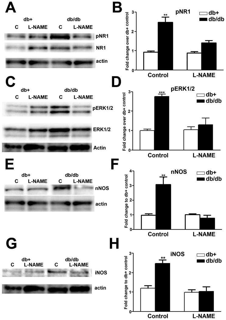 Fig. 11