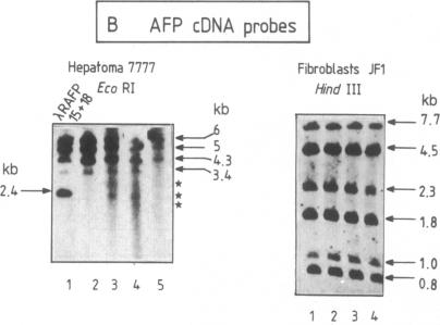 graphic file with name pnas00617-0034-b.jpg