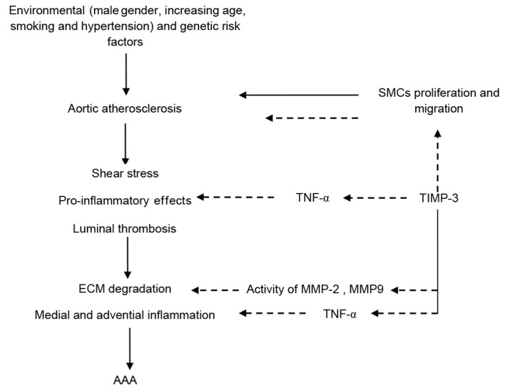 Figure 7.