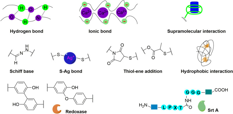 FIGURE 3