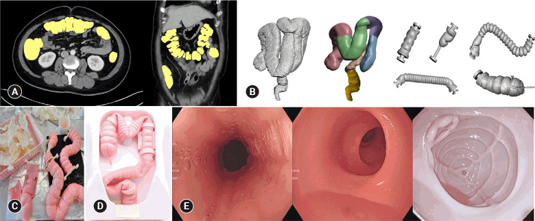 Fig. 1.