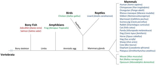 Figure 7