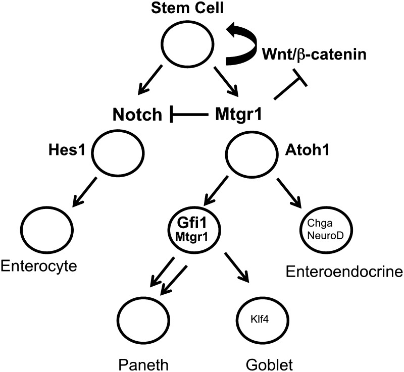 Figure 7.