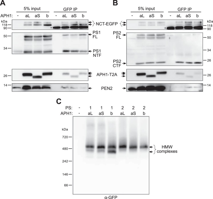 FIGURE 4.