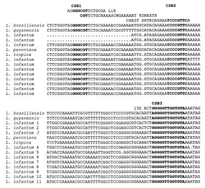 FIG. 1-1