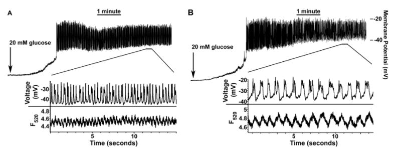 Figure 15