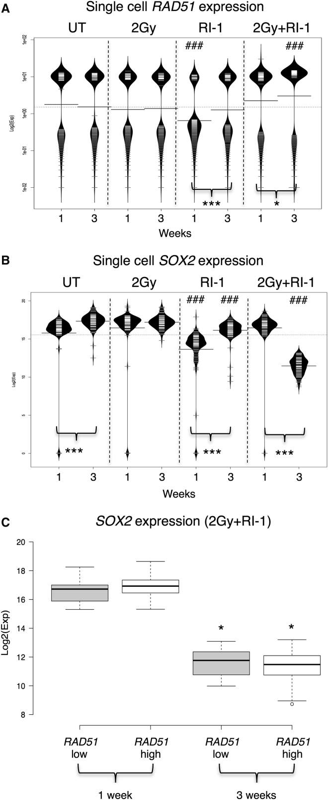 Figure 5