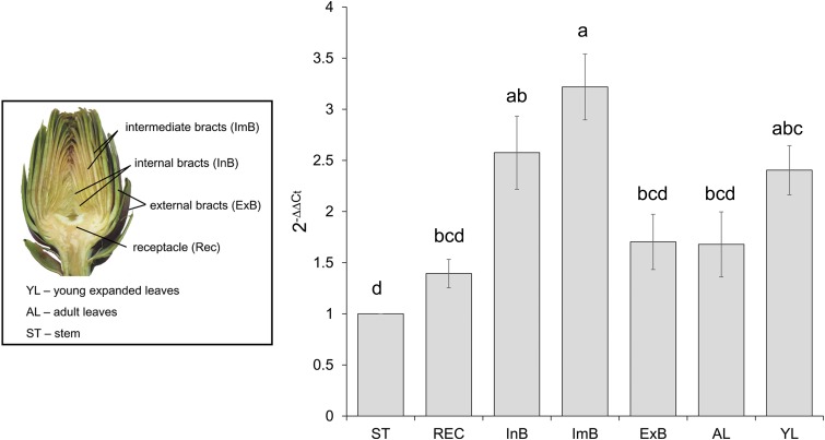 FIGURE 2