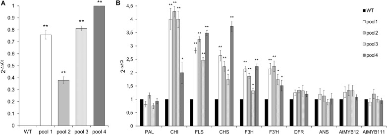 FIGURE 4